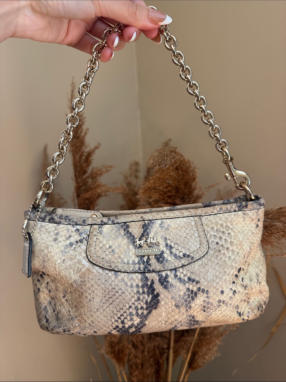 Coach Neutral Snake-Print Shoulder Bag with Gold Chain